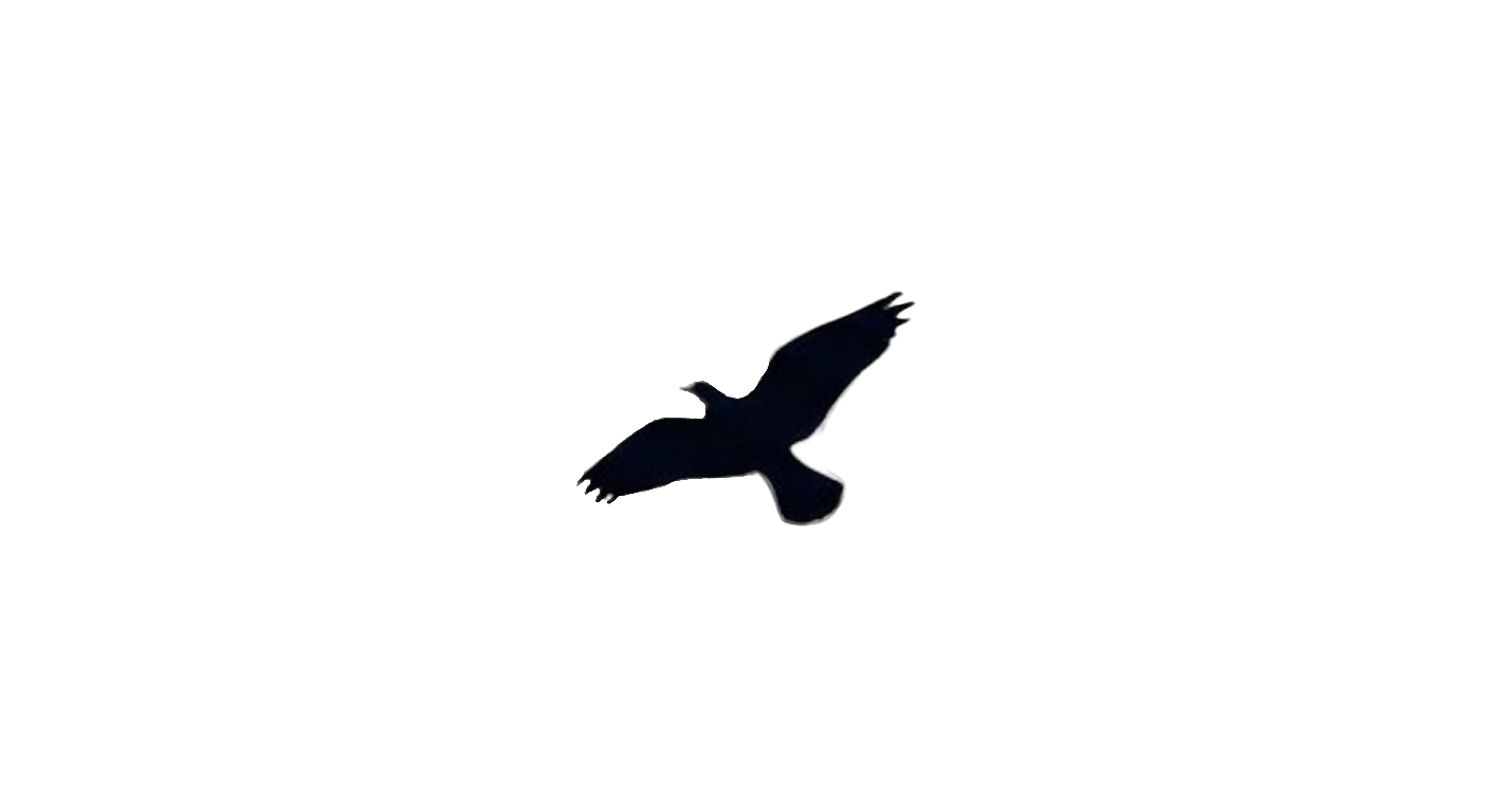 gemini generated image 1hvs961hvs961hkjhvs (llll)